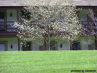 酒店 La Azzurra 圣雷默