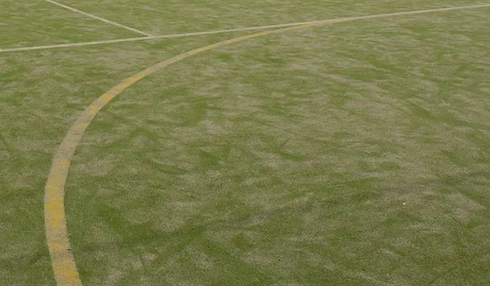 酒店 La Azzurra 圣雷默